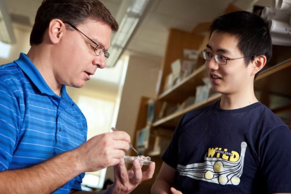 NIH grant awarded to create neurotech training program